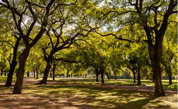 Park in Recoleta