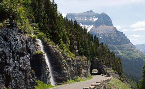 Waterfall in Forest Glacier National Park