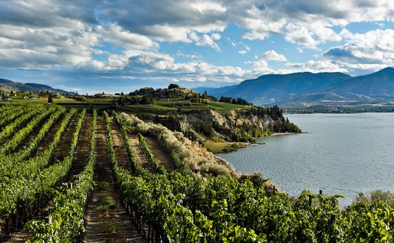 Okanagan Valley vineyard