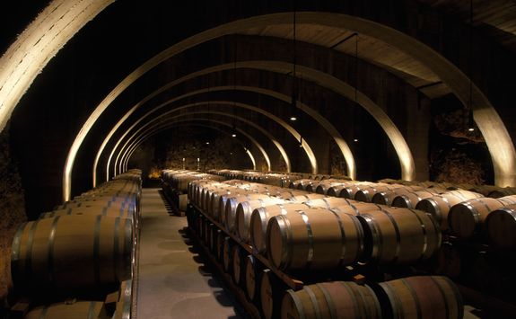 Barrels of wine in cellar