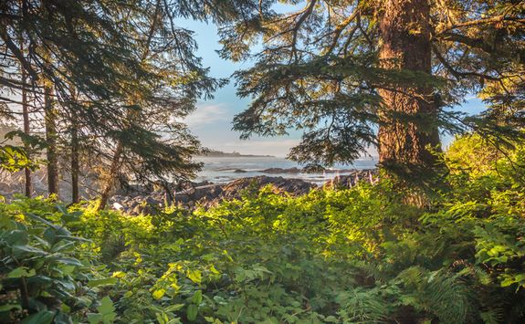Wild Pacific Trail