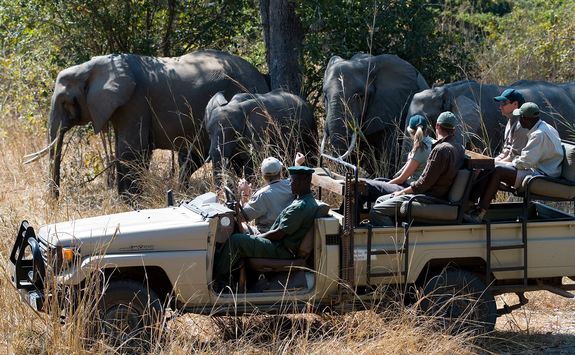 Game drive with elephants