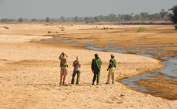 Luwi walking safari