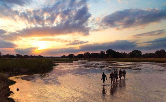 Walking safari in Luangwa