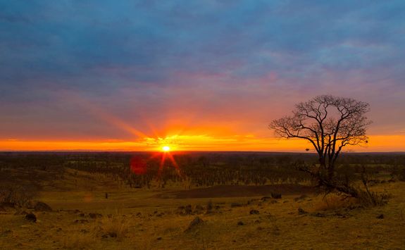 Zambian Sunset