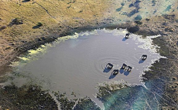 The Okavango Delta from above