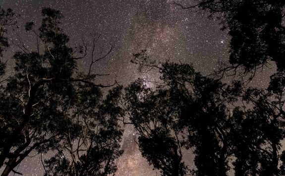 Starry sky in the Blue Mountains
