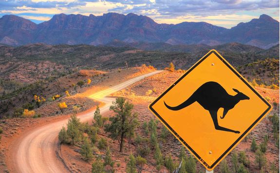 Kangaroo Sign