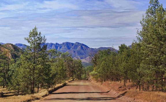 Flinders Ranges Road