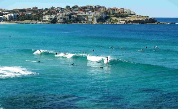 Surfing in the Sea