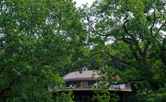 Chewton Glen's treehouses