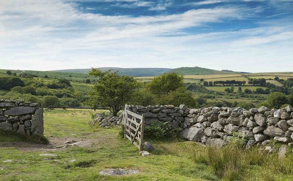 Dartmoor National Park