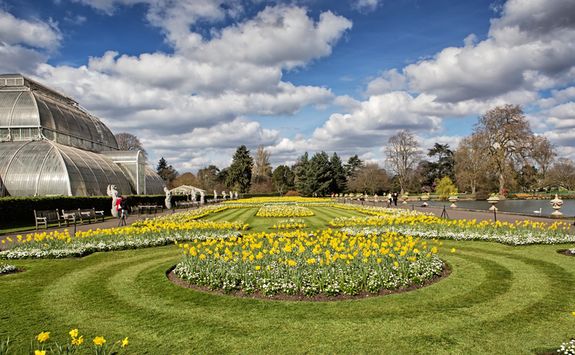 Flowers at Kew