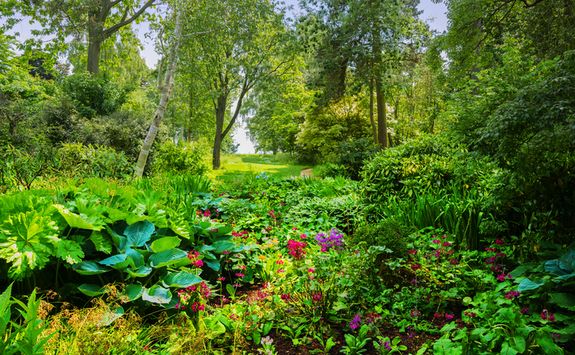 English Gardens