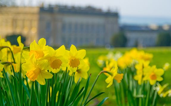 Chatsworth House in spring