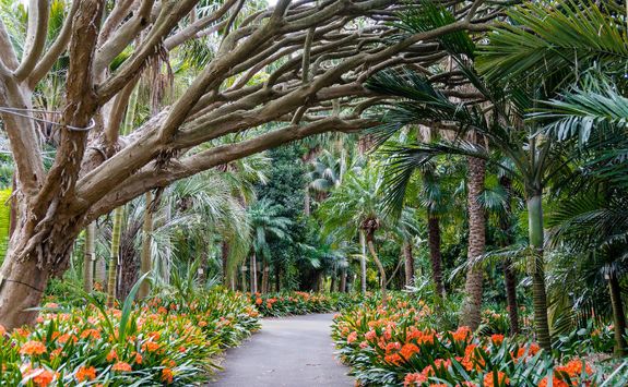 botanical-gardens-walkway