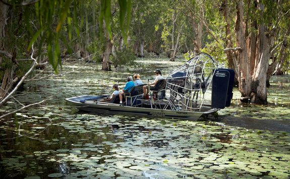 melaleuca-forest-airboat