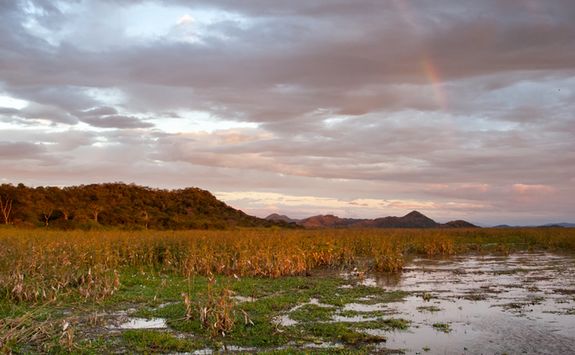 Palo Verde National Park