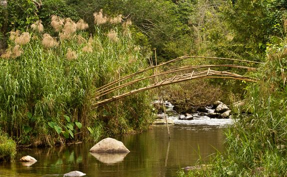 Bamboo bridge, Bolaven Plateau