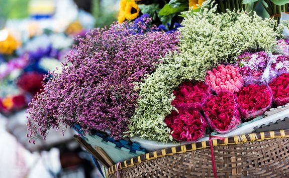 hanoi flowers