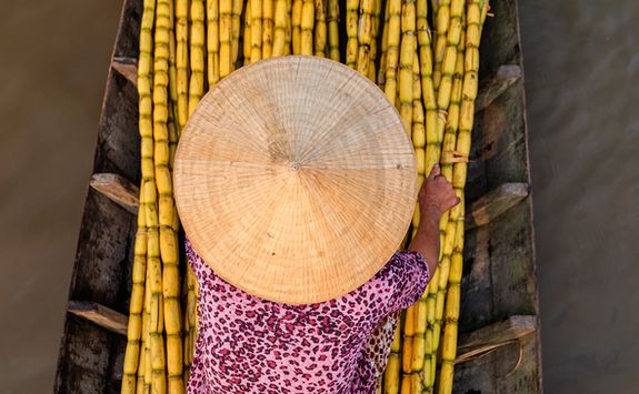 sugar cane floating market