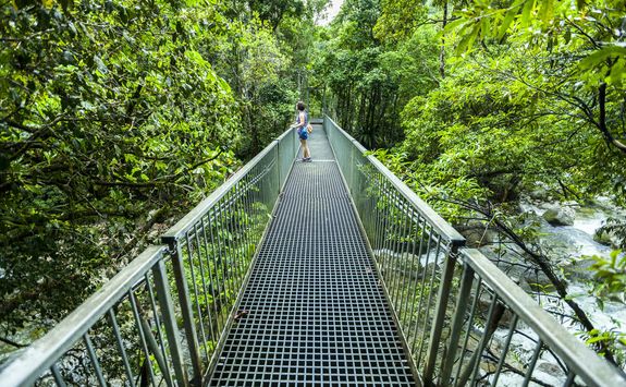daintree river