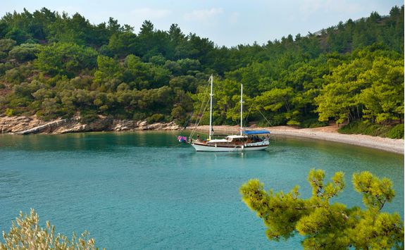 Sailing Boat