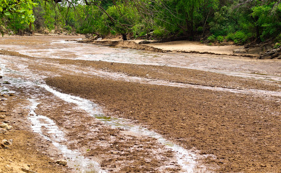 turmi river