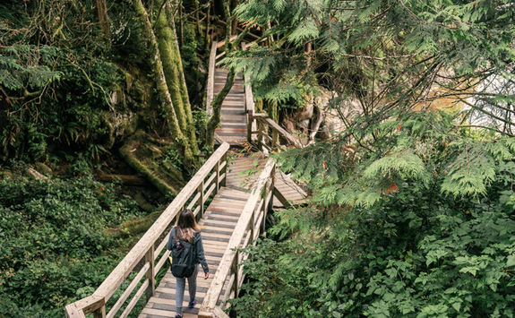 Hiking trail in the Pacific Rim National Park Reserve