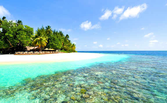 Maldives beach