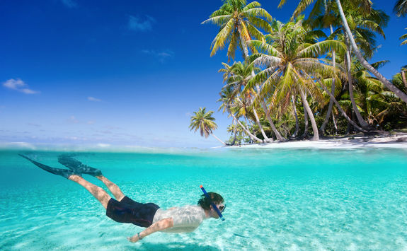 Diving sea