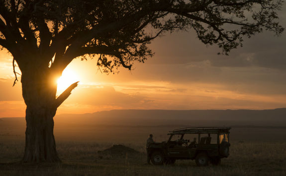 masai mara