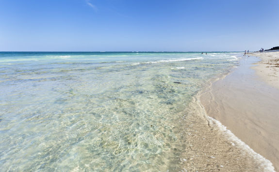 diani