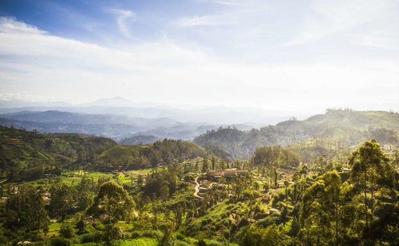 Sri Lankan landscape
