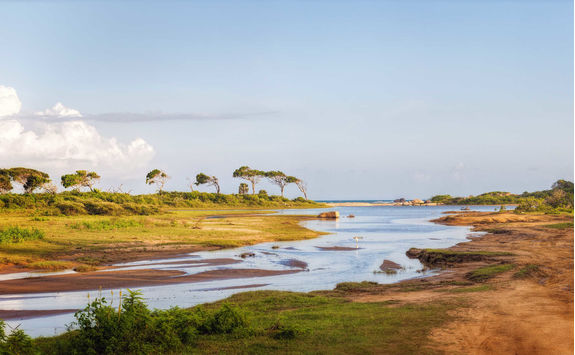 Yala National Park