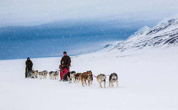 mushing