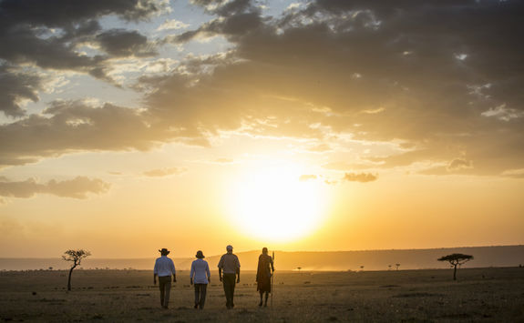 Bush walk with a guide