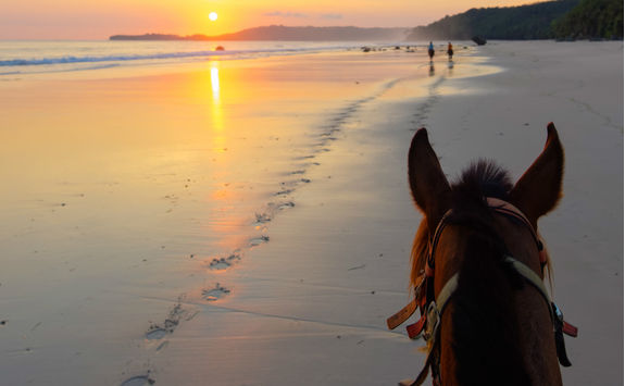 Horseriding on a beach at sunset