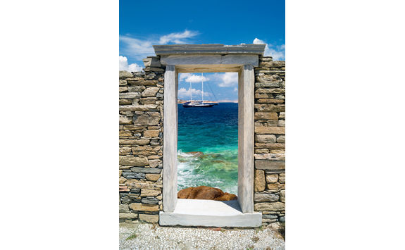 Delos window