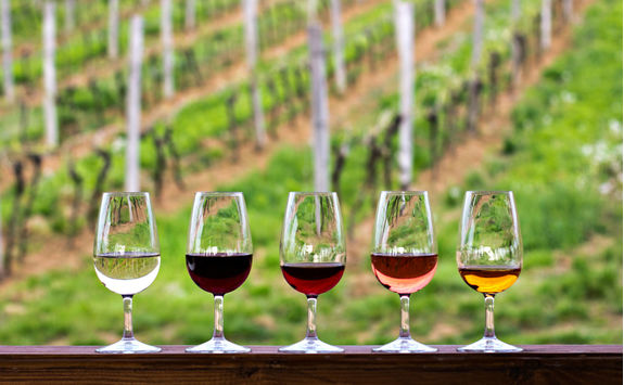 Glasses with red, pink and white wine