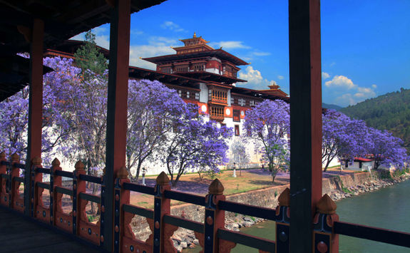 punakha dzong