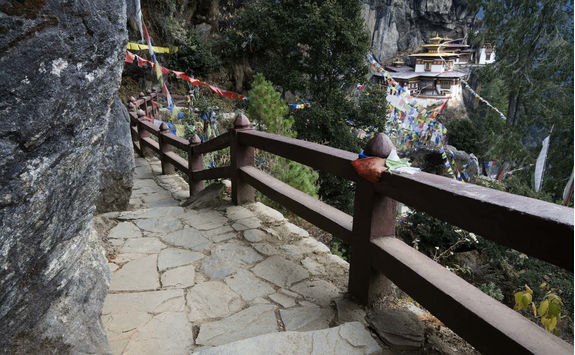 tigers nest in bhutan
