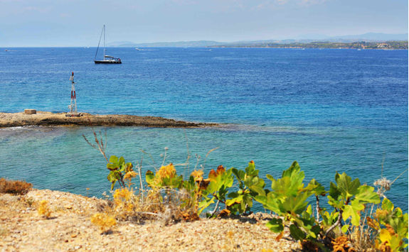 Coast of Spetses island