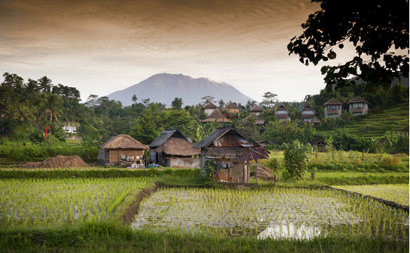 bali village