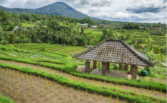 bali countryside