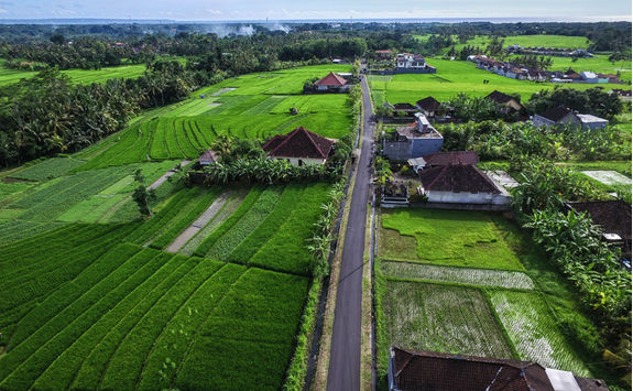 countryside road