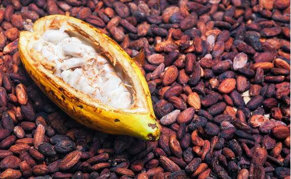 cocoa beans