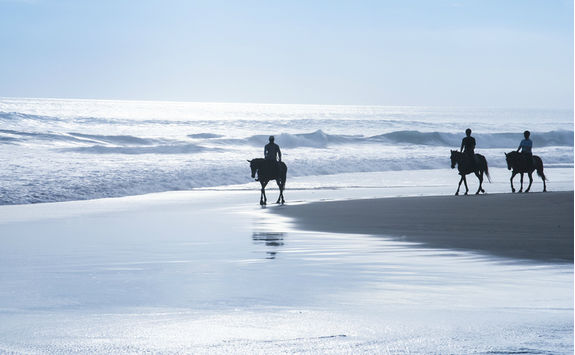 bali horseback