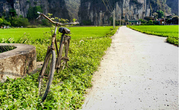 Rustic bicycle with paddy field in the background