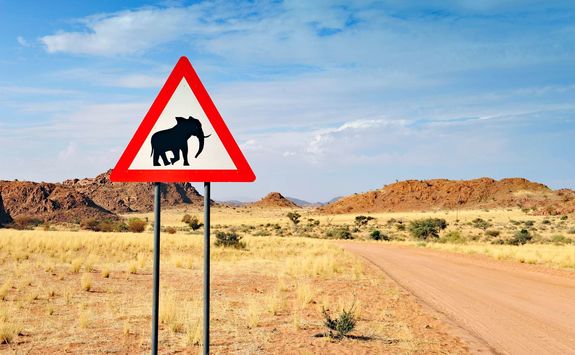 elephants crossing sign
